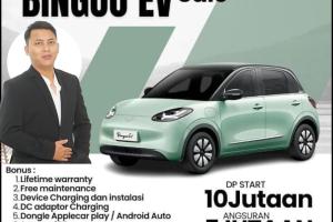 Wuling Binguo BINGUO EV Automatic 2023