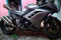 Kawasaki LAINNYA SPORT 2013 Manual