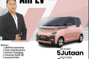 Wuling Air EV AIR EV Automatic 2022